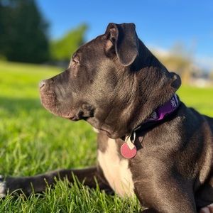 Meet your Posher, Kaidence